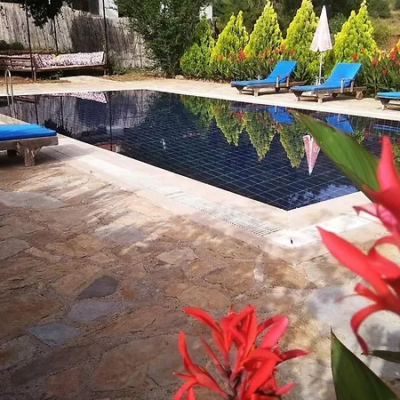 Beautiful Natural Stone House With Big Private Pool Villa *