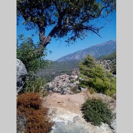 Villa Beautiful Natural Stone House With Big Private Pool