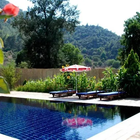 Beautiful Natural Stone House With Big Private Pool 카야코이
