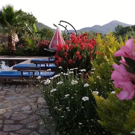Beautiful Natural Stone House With Big Private Pool