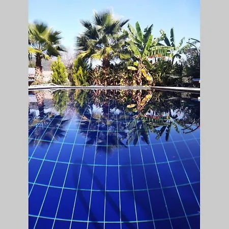 Beautiful Natural Stone House With Big Private Pool 빌라 *