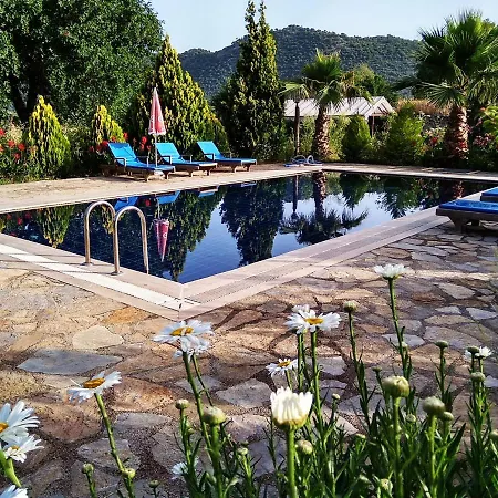 Beautiful Natural Stone House With Big Private Pool * 카야코이